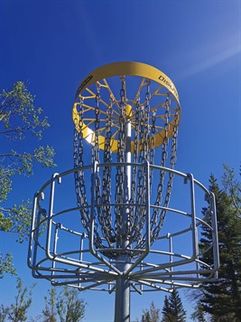 disc-golf